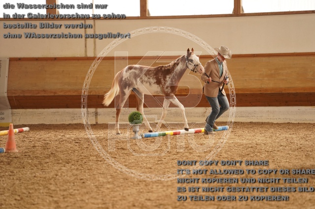 s_A_901115.JPG